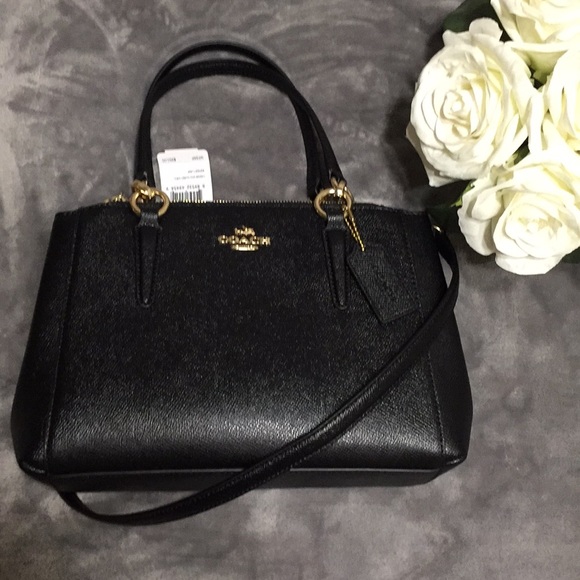 Coach Handbags - COACH Mini Christie Carryall